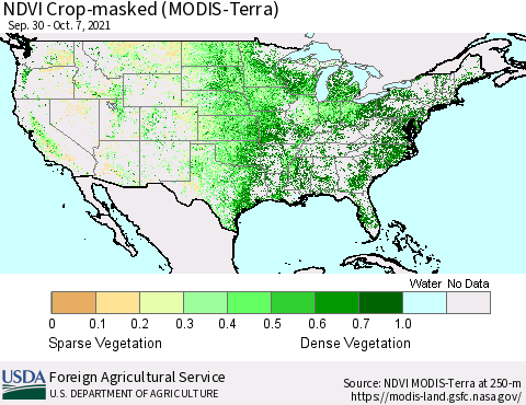 United States Cropland NDVI (Terra-MODIS) Thematic Map For 10/1/2021 - 10/10/2021