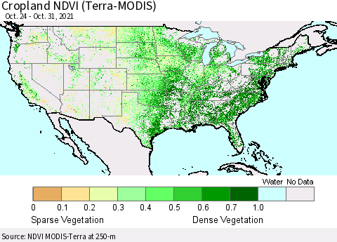 United States Cropland NDVI (Terra-MODIS) Thematic Map For 10/21/2021 - 10/31/2021