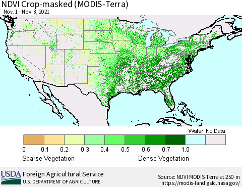United States Cropland NDVI (Terra-MODIS) Thematic Map For 11/1/2021 - 11/10/2021