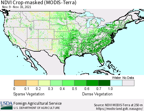 United States Cropland NDVI (Terra-MODIS) Thematic Map For 11/11/2021 - 11/20/2021