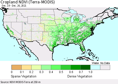 United States Cropland NDVI (Terra-MODIS) Thematic Map For 12/19/2021 - 12/26/2021