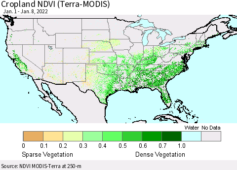 United States Cropland NDVI (Terra-MODIS) Thematic Map For 1/1/2022 - 1/8/2022