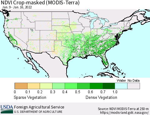 United States Cropland NDVI (Terra-MODIS) Thematic Map For 1/11/2022 - 1/20/2022