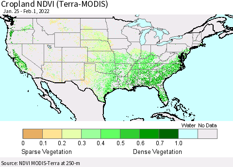 United States Cropland NDVI (Terra-MODIS) Thematic Map For 1/25/2022 - 2/1/2022