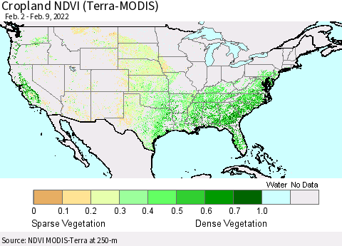 United States Cropland NDVI (Terra-MODIS) Thematic Map For 2/2/2022 - 2/9/2022