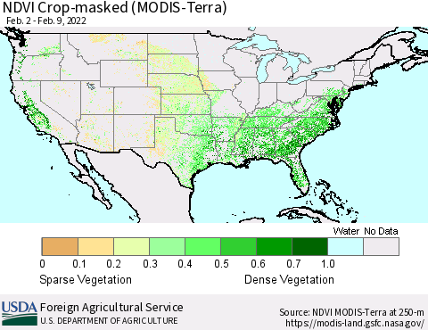 United States Cropland NDVI (Terra-MODIS) Thematic Map For 2/1/2022 - 2/10/2022