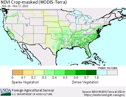 United States Cropland NDVI (Terra-MODIS) Thematic Map For 2/11/2022 - 2/20/2022