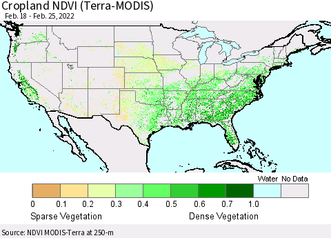 United States Cropland NDVI (Terra-MODIS) Thematic Map For 2/18/2022 - 2/25/2022
