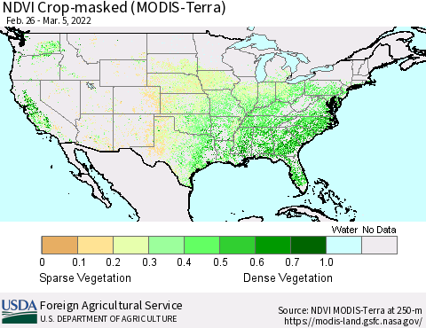 United States Cropland NDVI (Terra-MODIS) Thematic Map For 3/1/2022 - 3/10/2022