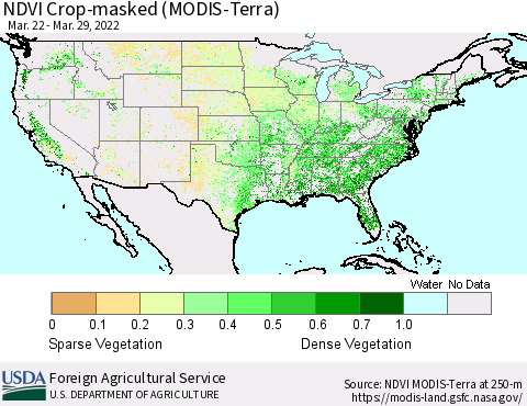 United States Cropland NDVI (Terra-MODIS) Thematic Map For 3/21/2022 - 3/31/2022