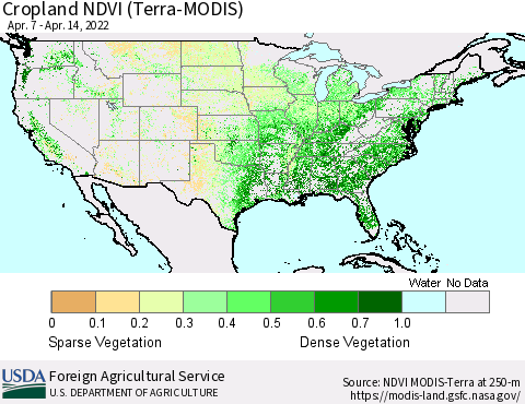 United States Cropland NDVI (Terra-MODIS) Thematic Map For 4/11/2022 - 4/20/2022