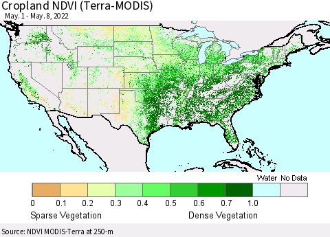 United States Cropland NDVI (Terra-MODIS) Thematic Map For 5/1/2022 - 5/8/2022