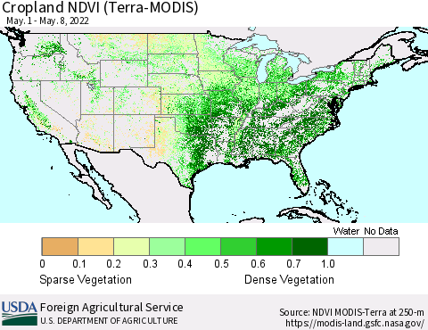United States Cropland NDVI (Terra-MODIS) Thematic Map For 5/1/2022 - 5/10/2022