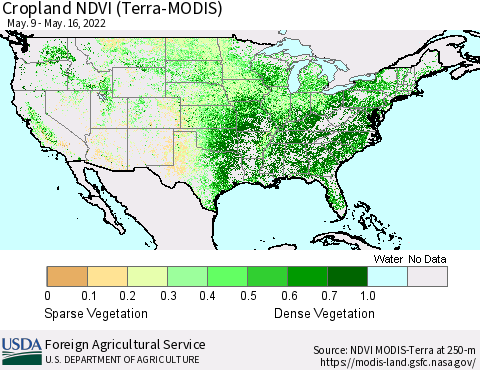 United States Cropland NDVI (Terra-MODIS) Thematic Map For 5/11/2022 - 5/20/2022