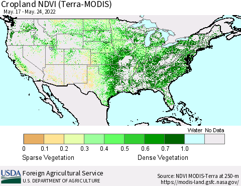 United States Cropland NDVI (Terra-MODIS) Thematic Map For 5/21/2022 - 5/31/2022