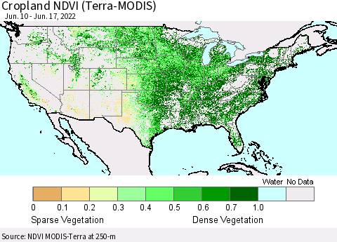 United States Cropland NDVI (Terra-MODIS) Thematic Map For 6/10/2022 - 6/17/2022