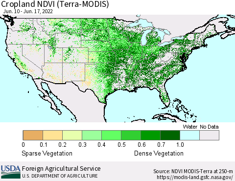United States Cropland NDVI (Terra-MODIS) Thematic Map For 6/11/2022 - 6/20/2022