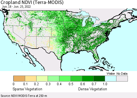 United States Cropland NDVI (Terra-MODIS) Thematic Map For 6/18/2022 - 6/25/2022