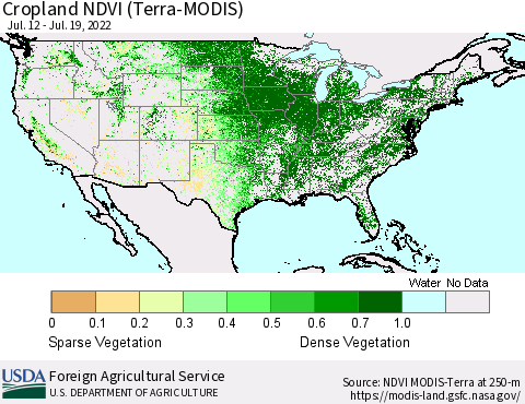 United States Cropland NDVI (Terra-MODIS) Thematic Map For 7/11/2022 - 7/20/2022