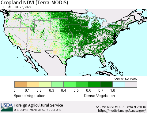 United States Cropland NDVI (Terra-MODIS) Thematic Map For 7/21/2022 - 7/31/2022