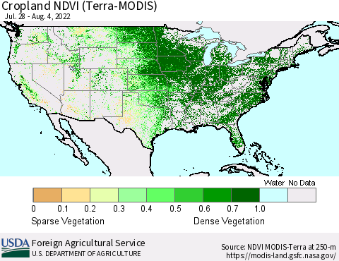 United States Cropland NDVI (Terra-MODIS) Thematic Map For 8/1/2022 - 8/10/2022