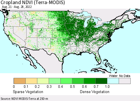 United States Cropland NDVI (Terra-MODIS) Thematic Map For 8/21/2022 - 8/28/2022