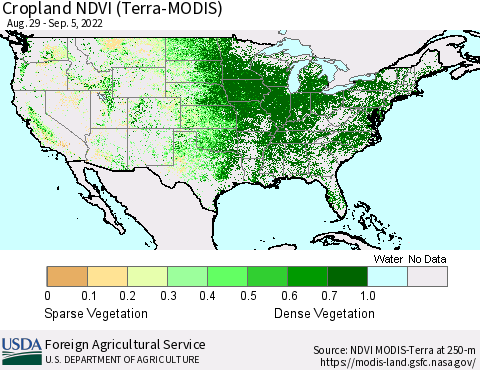 United States Cropland NDVI (Terra-MODIS) Thematic Map For 9/1/2022 - 9/10/2022