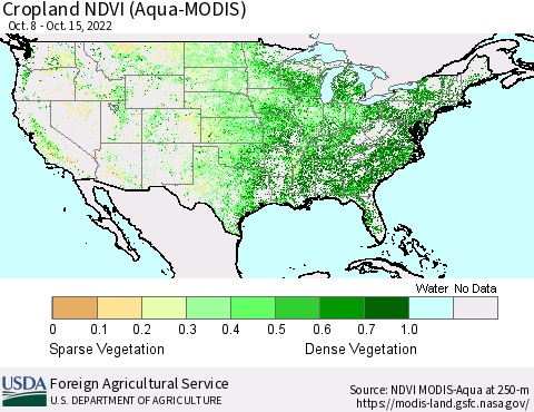 United States Cropland NDVI (Terra-MODIS) Thematic Map For 10/11/2022 - 10/20/2022