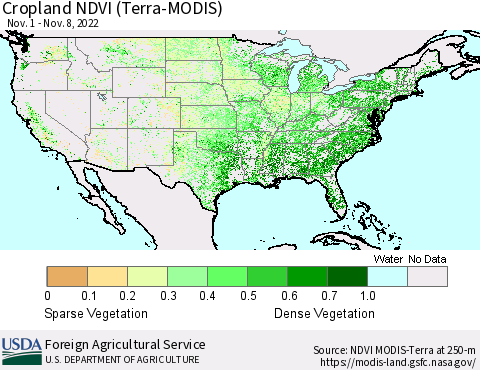 United States Cropland NDVI (Terra-MODIS) Thematic Map For 11/1/2022 - 11/10/2022