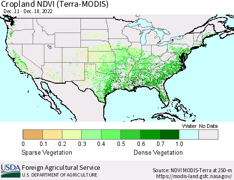 United States Cropland NDVI (Terra-MODIS) Thematic Map For 12/11/2022 - 12/20/2022
