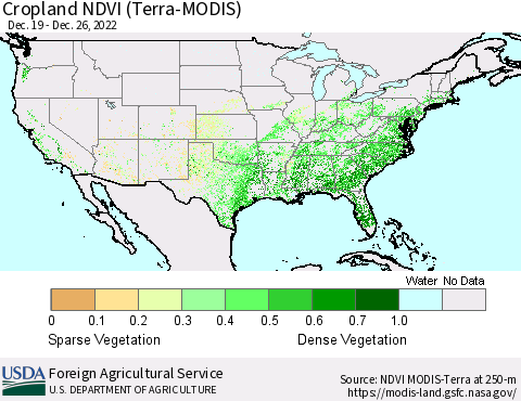 United States Cropland NDVI (Terra-MODIS) Thematic Map For 12/21/2022 - 12/31/2022