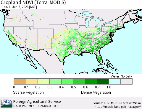 United States Cropland NDVI (Terra-MODIS) Thematic Map For 1/1/2023 - 1/10/2023