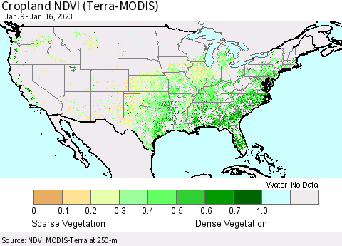 United States Cropland NDVI (Terra-MODIS) Thematic Map For 1/9/2023 - 1/16/2023