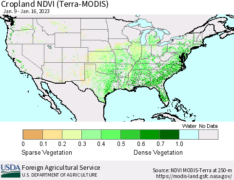 United States Cropland NDVI (Terra-MODIS) Thematic Map For 1/11/2023 - 1/20/2023