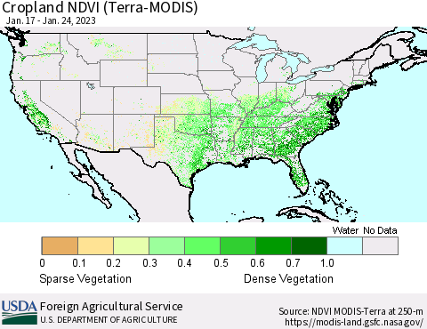 United States Cropland NDVI (Terra-MODIS) Thematic Map For 1/21/2023 - 1/31/2023