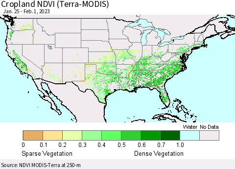 United States Cropland NDVI (Terra-MODIS) Thematic Map For 1/25/2023 - 2/1/2023