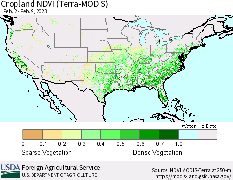 United States Cropland NDVI (Terra-MODIS) Thematic Map For 2/1/2023 - 2/10/2023