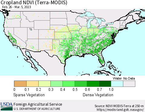 United States Cropland NDVI (Terra-MODIS) Thematic Map For 3/1/2023 - 3/10/2023