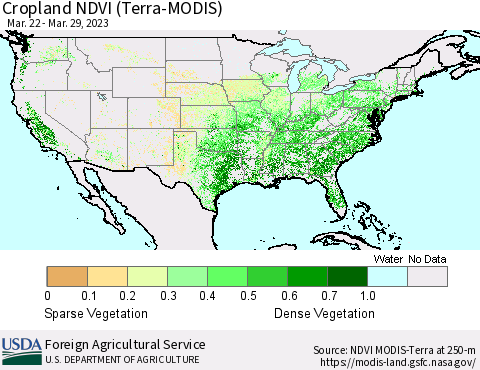 United States Cropland NDVI (Terra-MODIS) Thematic Map For 3/21/2023 - 3/31/2023