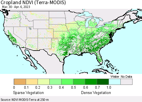 United States Cropland NDVI (Terra-MODIS) Thematic Map For 3/30/2023 - 4/6/2023