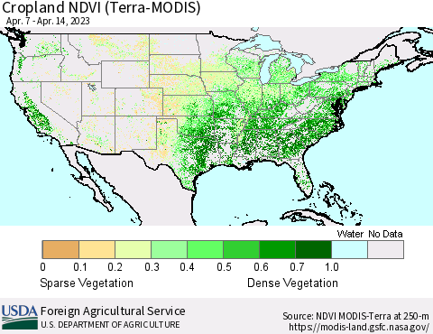 United States Cropland NDVI (Terra-MODIS) Thematic Map For 4/11/2023 - 4/20/2023
