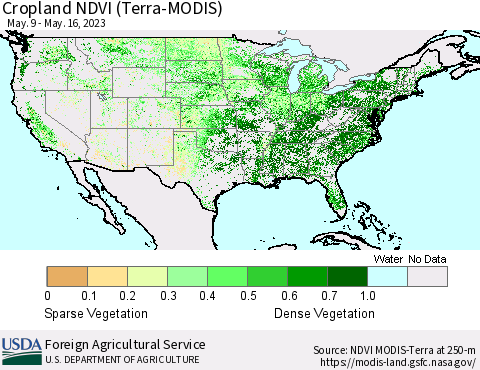 United States Cropland NDVI (Terra-MODIS) Thematic Map For 5/11/2023 - 5/20/2023