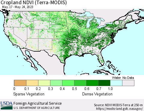 United States Cropland NDVI (Terra-MODIS) Thematic Map For 5/21/2023 - 5/31/2023