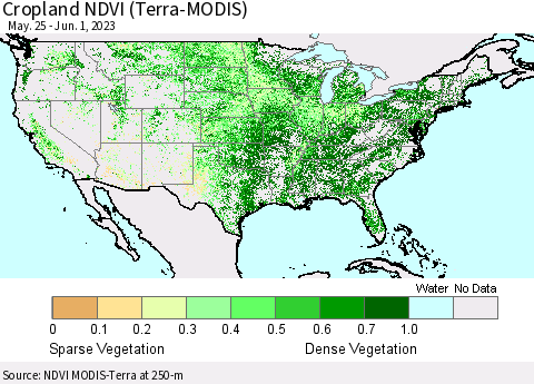 United States Cropland NDVI (Terra-MODIS) Thematic Map For 5/25/2023 - 6/1/2023