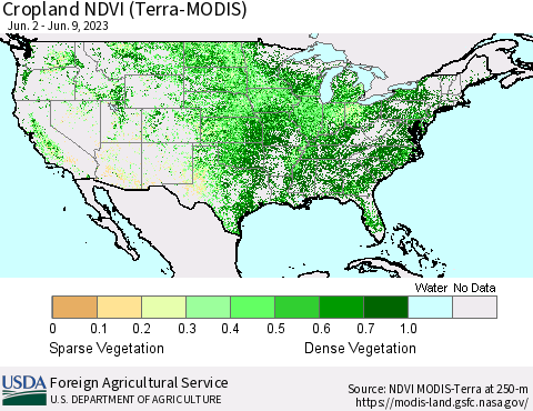 United States Cropland NDVI (Terra-MODIS) Thematic Map For 6/1/2023 - 6/10/2023