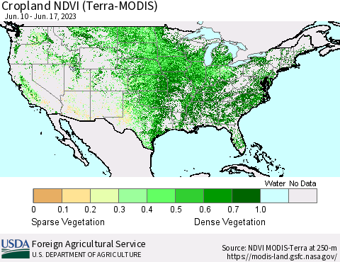 United States Cropland NDVI (Terra-MODIS) Thematic Map For 6/11/2023 - 6/20/2023