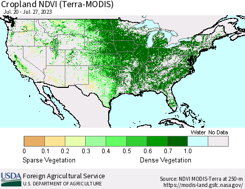 United States Cropland NDVI (Terra-MODIS) Thematic Map For 7/21/2023 - 7/31/2023