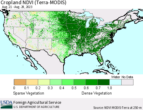 United States Cropland NDVI (Terra-MODIS) Thematic Map For 8/21/2023 - 8/31/2023
