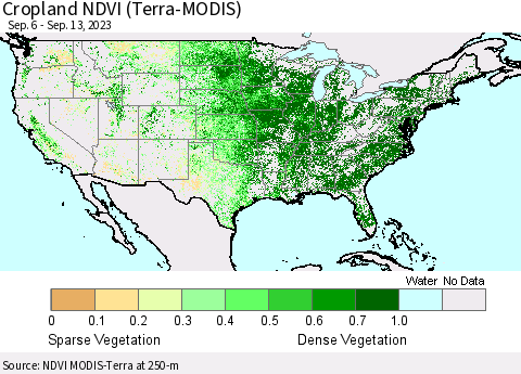United States Cropland NDVI (Terra-MODIS) Thematic Map For 9/6/2023 - 9/13/2023
