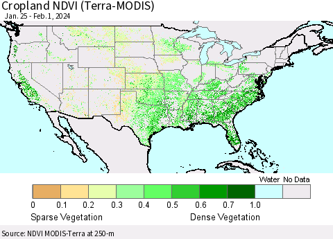 United States Cropland NDVI (Terra-MODIS) Thematic Map For 1/25/2024 - 2/1/2024